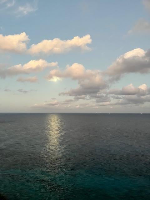 Woke up early with the moon.