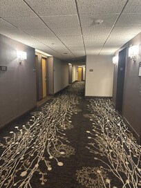 the hallways to the rooms.