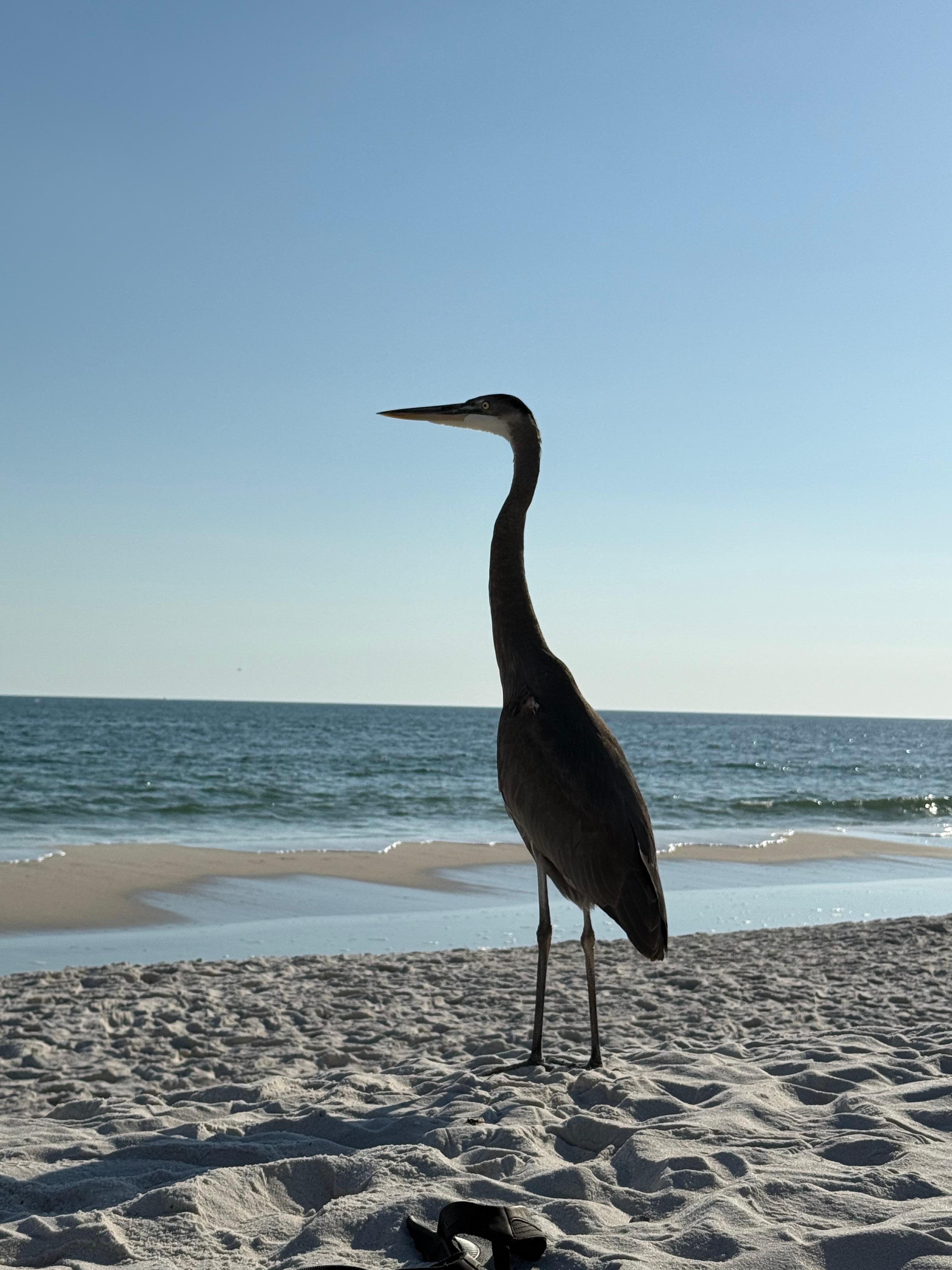 The locals are super friendly!