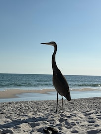 The locals are super friendly!