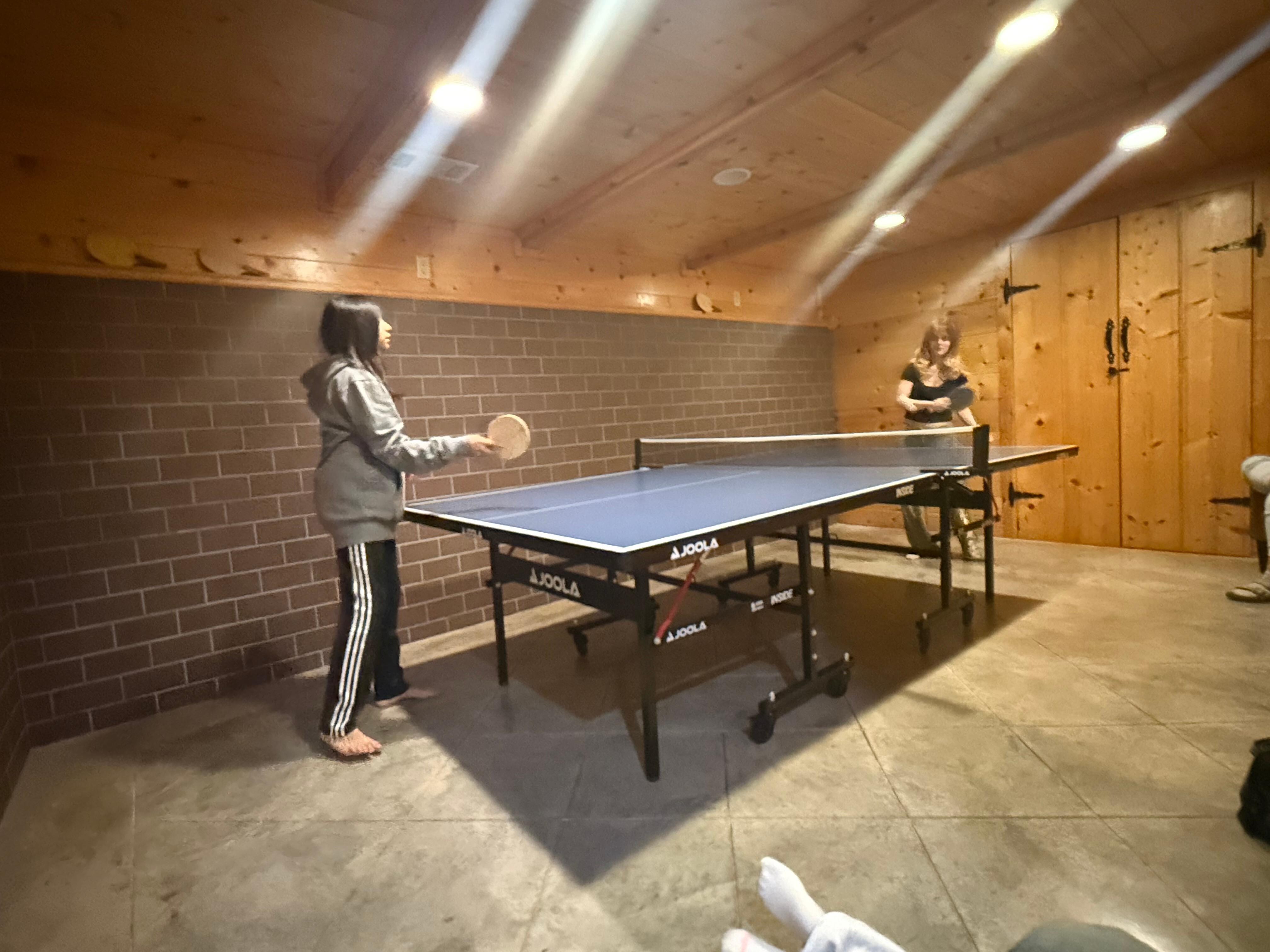 Ping Pong Table