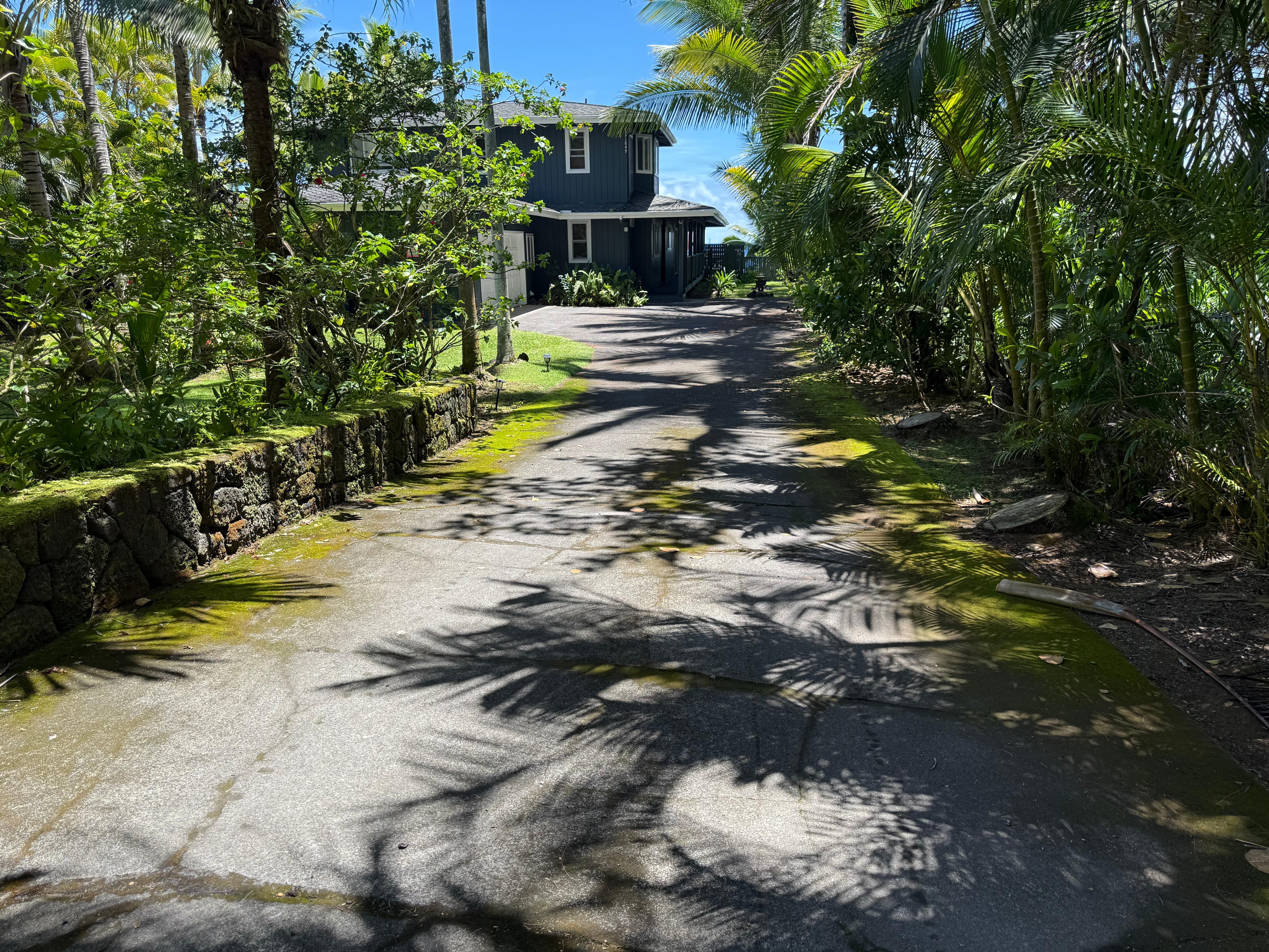 Driveway, leading to the front of the house .