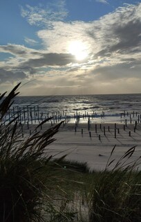Petten aan Zee ... traumhaft