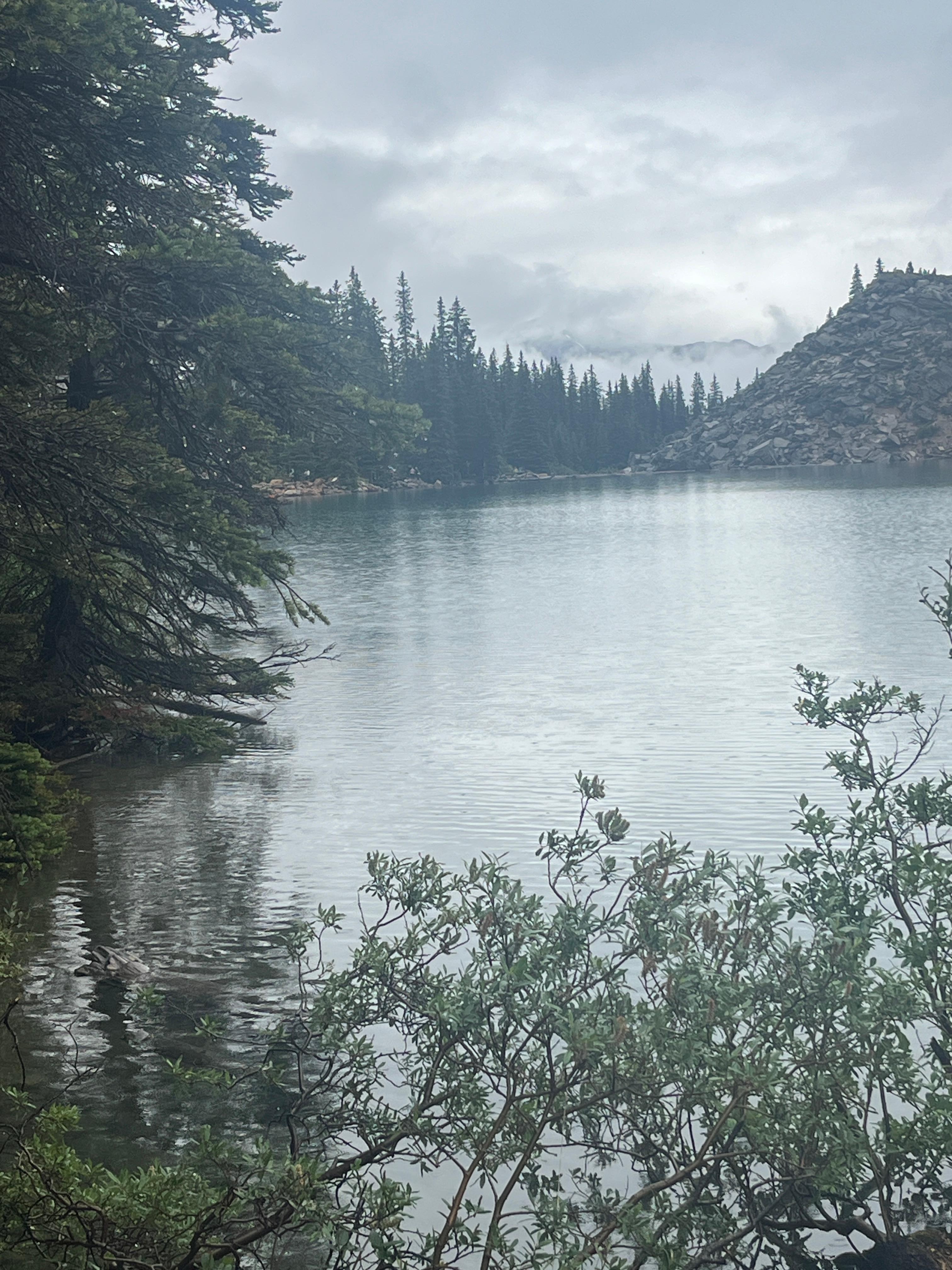 Some misc mountain beauty!