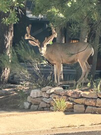 Across the street