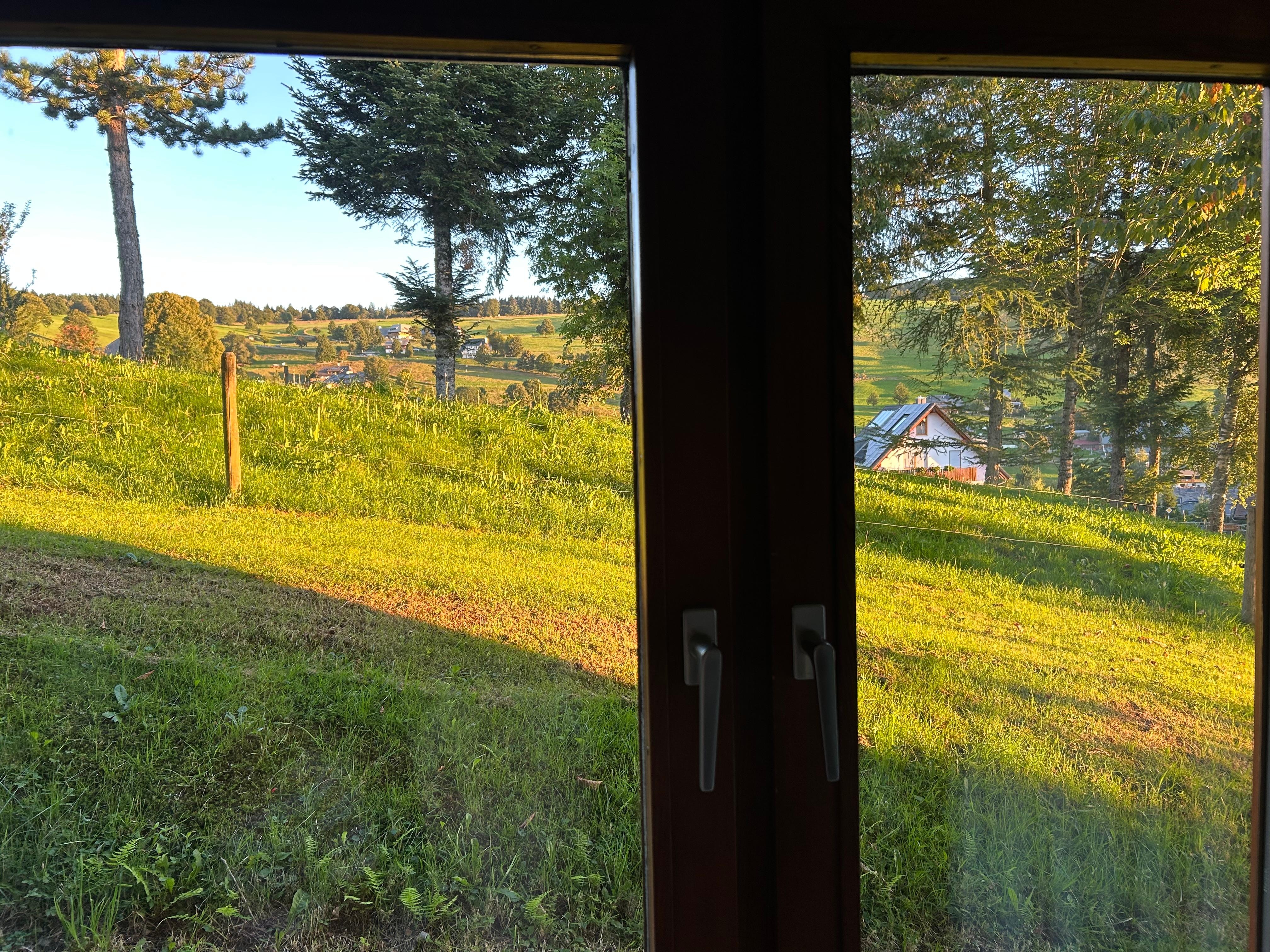 View from bedroom window