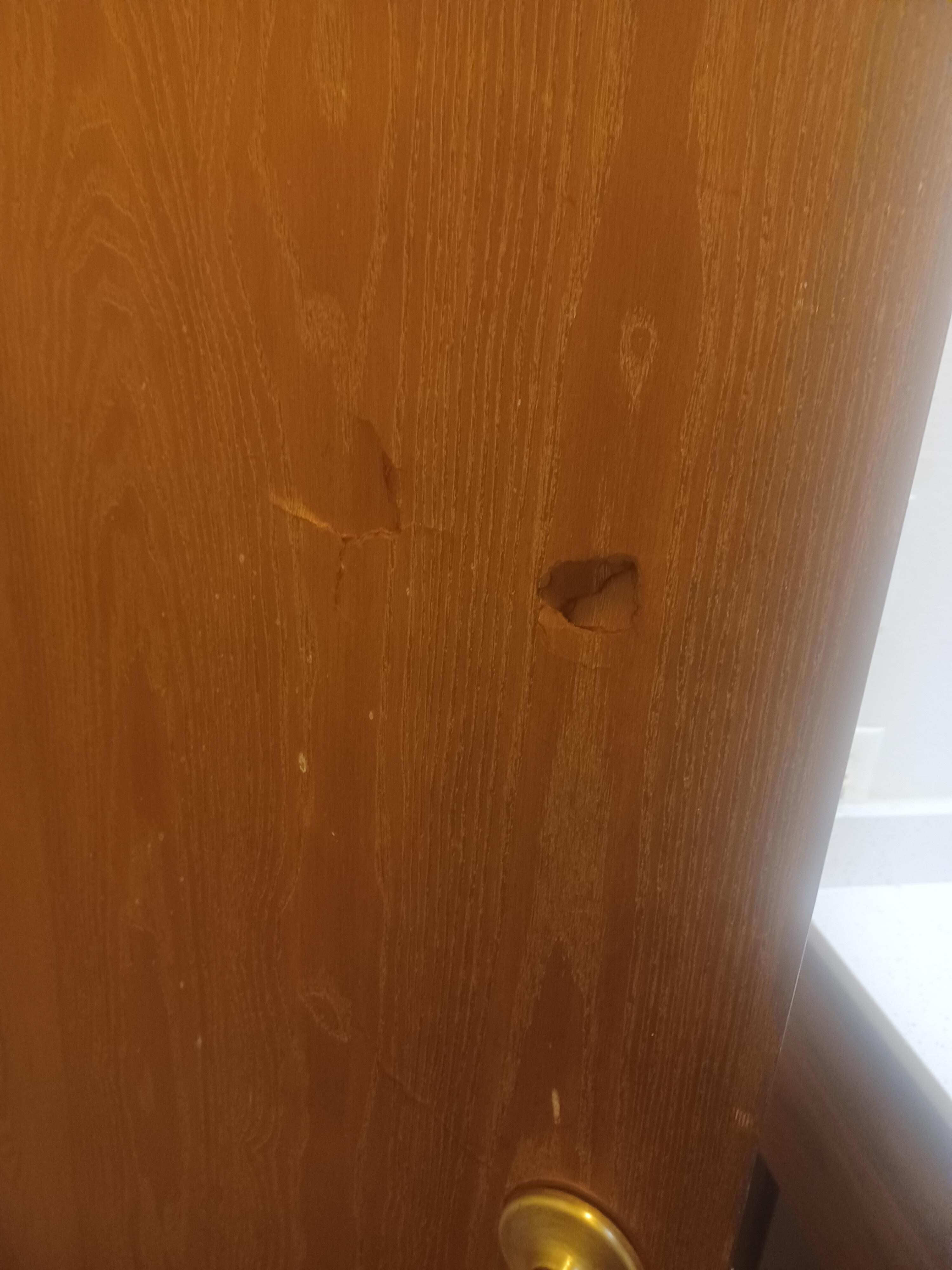 Holes in bathroom door and wouldn't shut, if you forced it, it would probably break in half