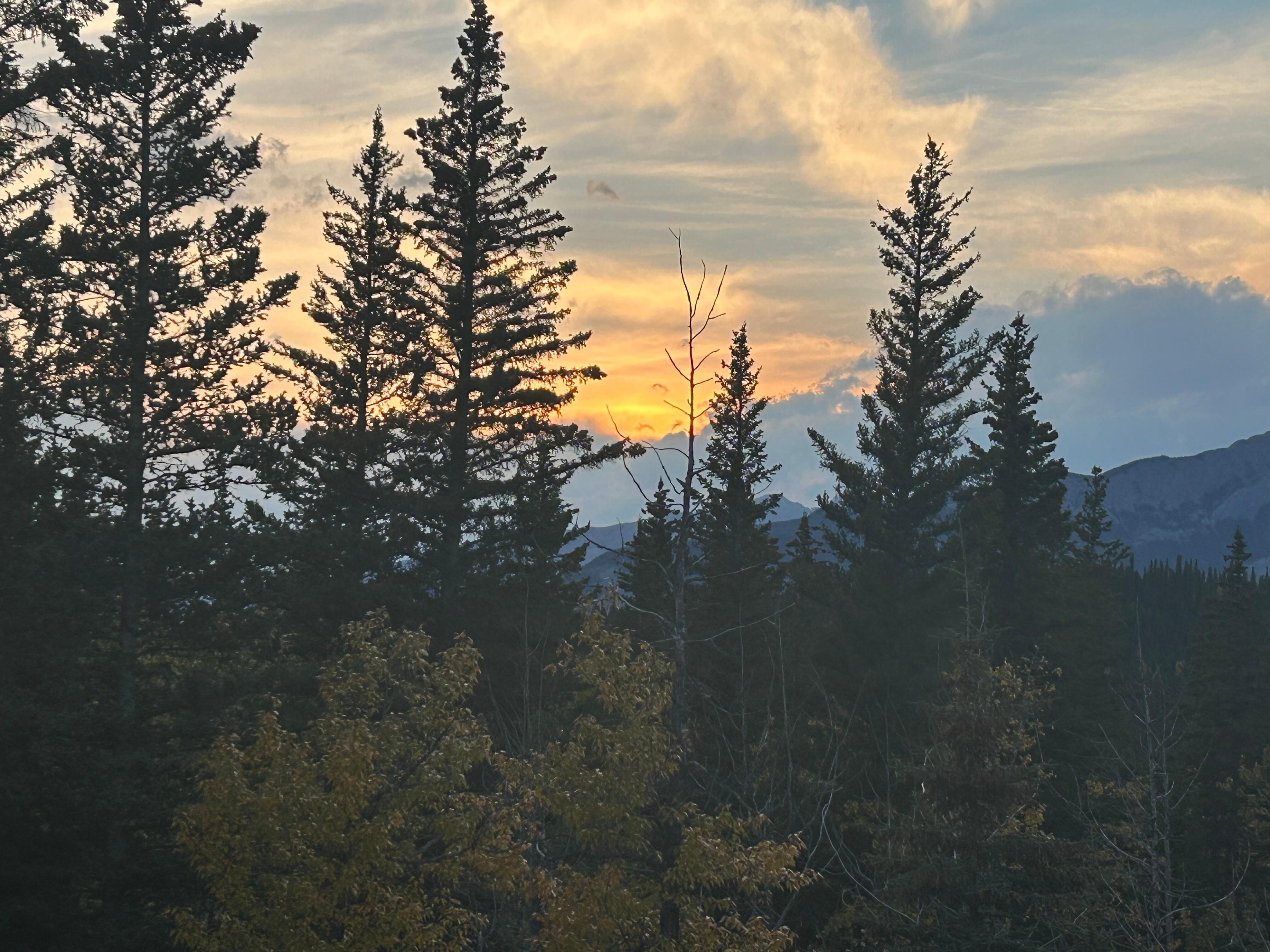 Peaceful and relaxing!! ❤️