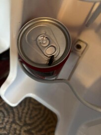 Cockroaches in the fridge