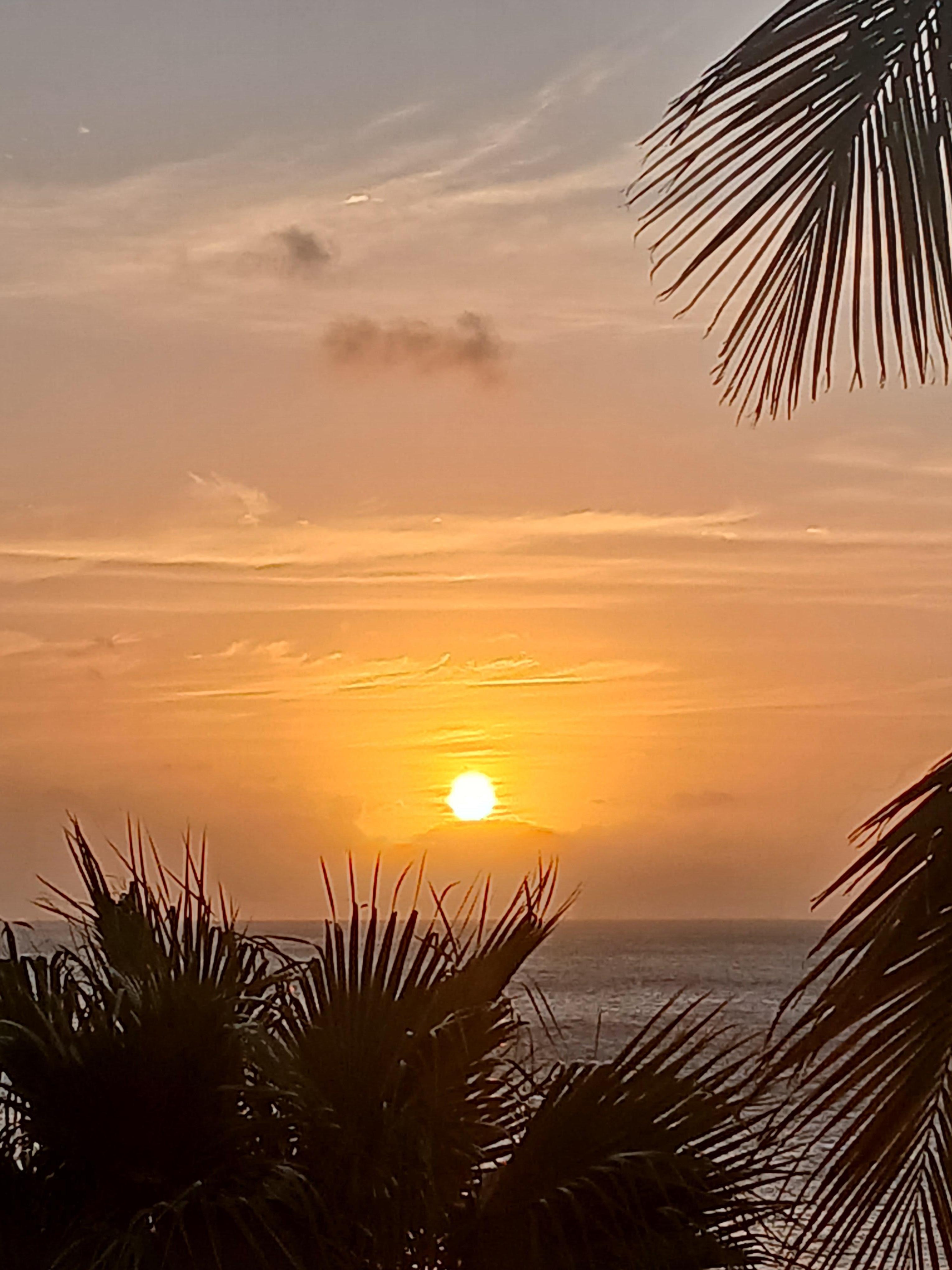 Utsikt från balkongen 