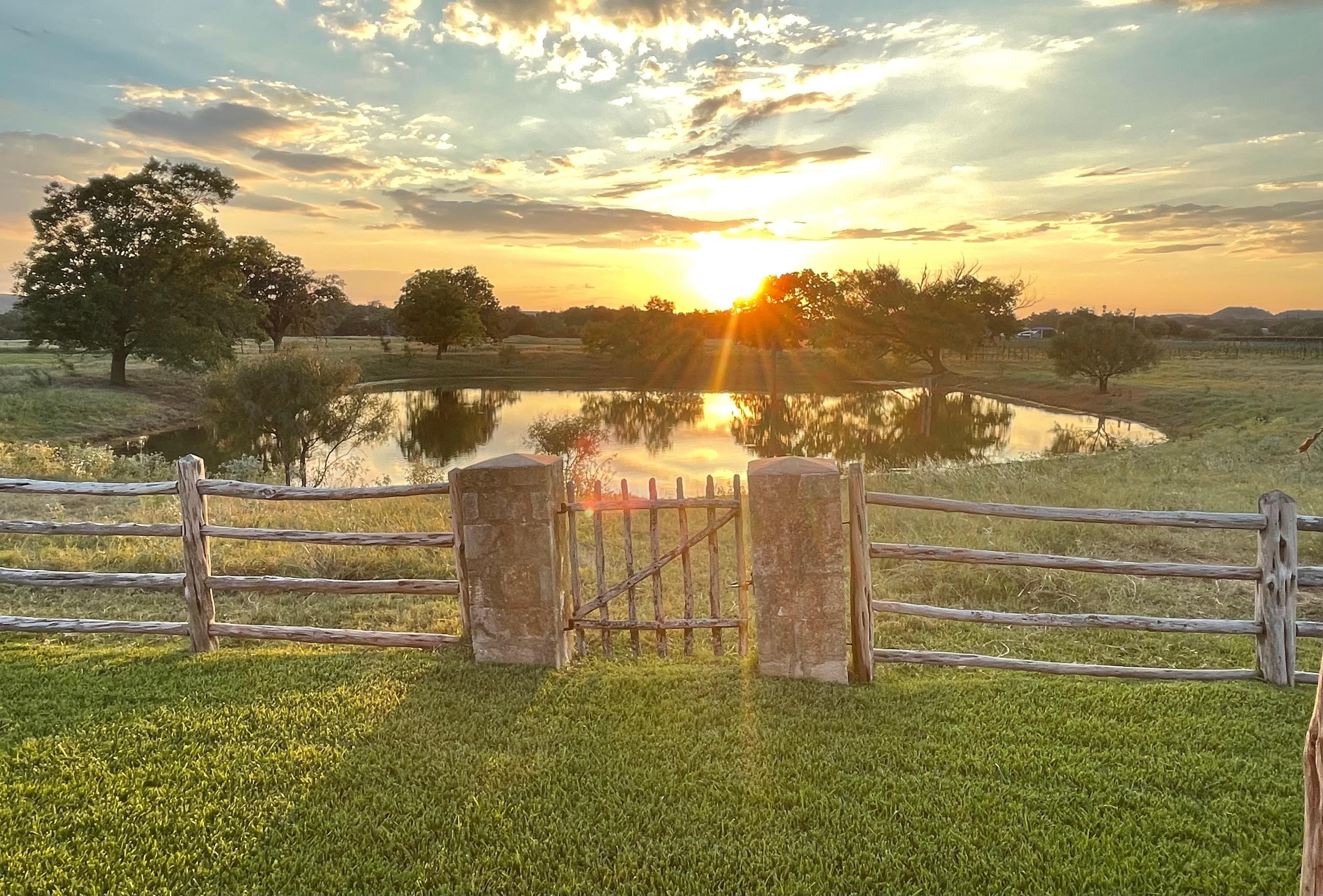 View from
 Back porch 
