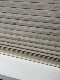 dirty blinds