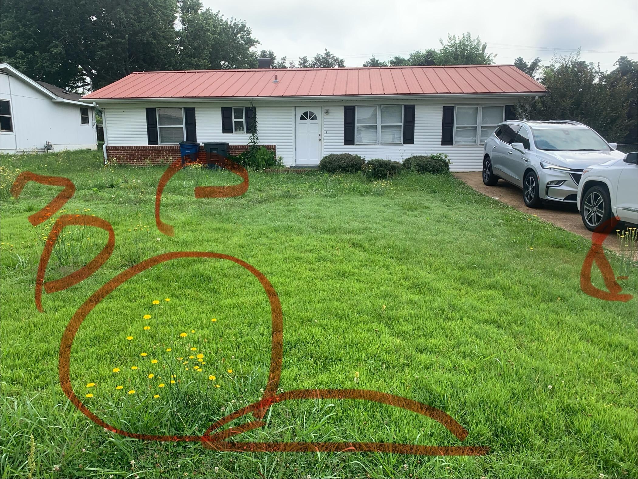Grass and weeds 1 foot high.  Had to walk through them to get to front door.