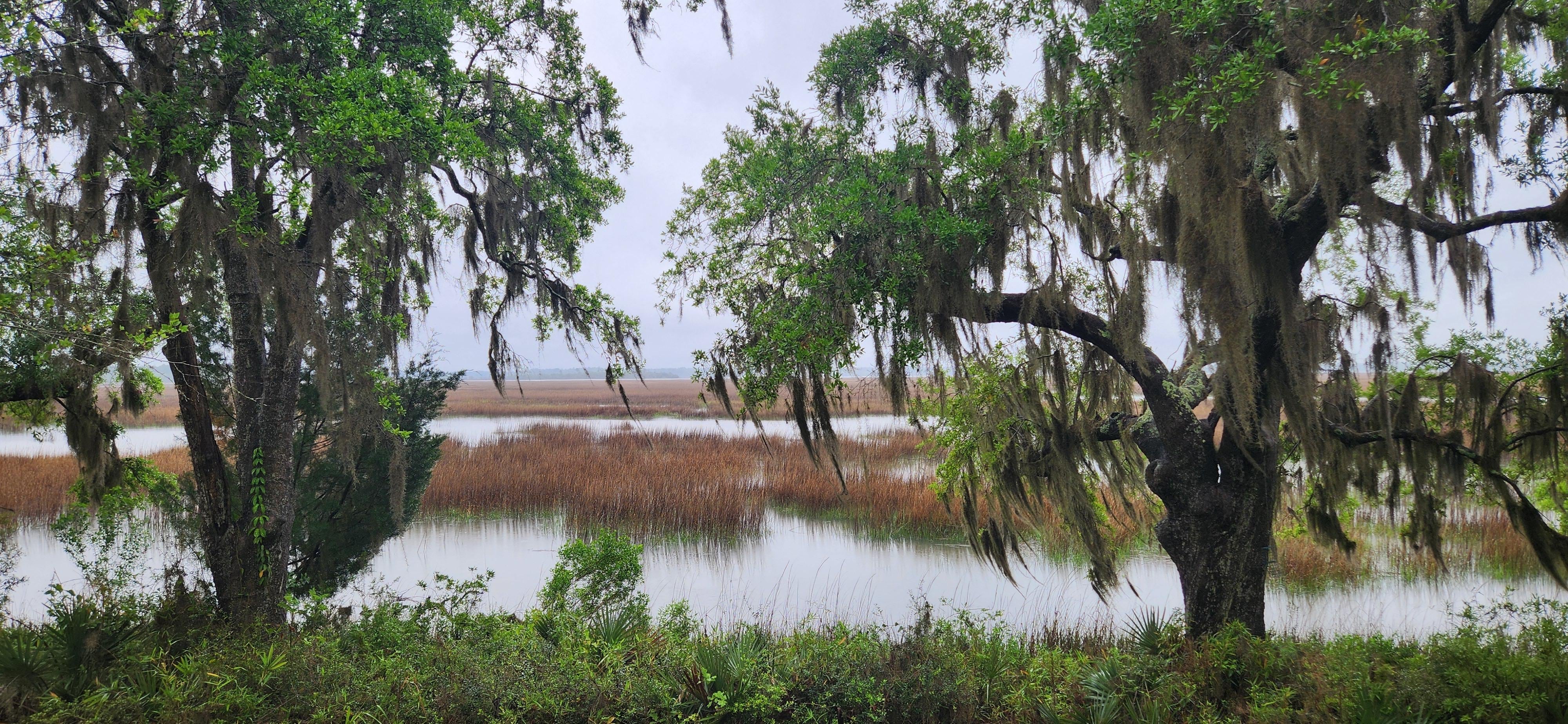 Beautiful daytime high tide.