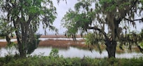 Beautiful daytime high tide.