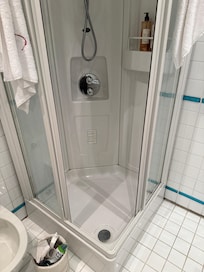 Tiny shower with mould