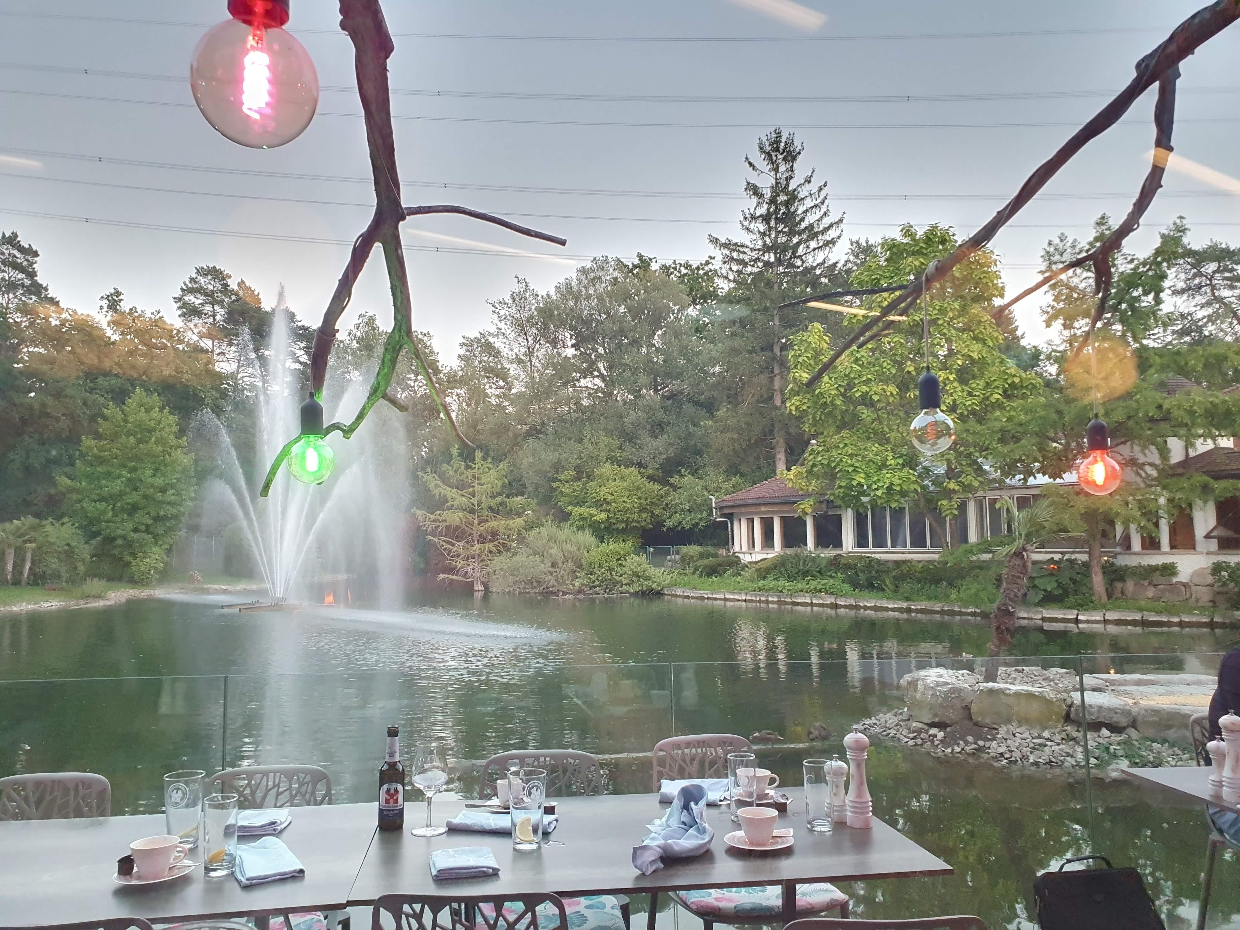 Laghetto coi fenicotteri e le anatre