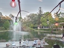 Laghetto coi fenicotteri e le anatre