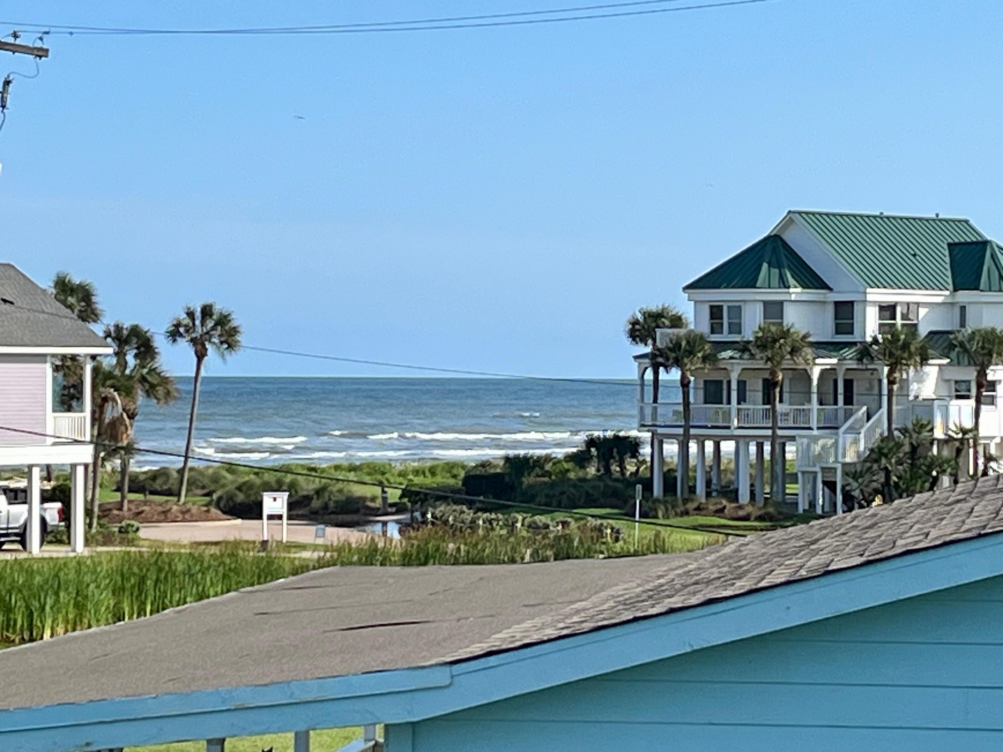 The view