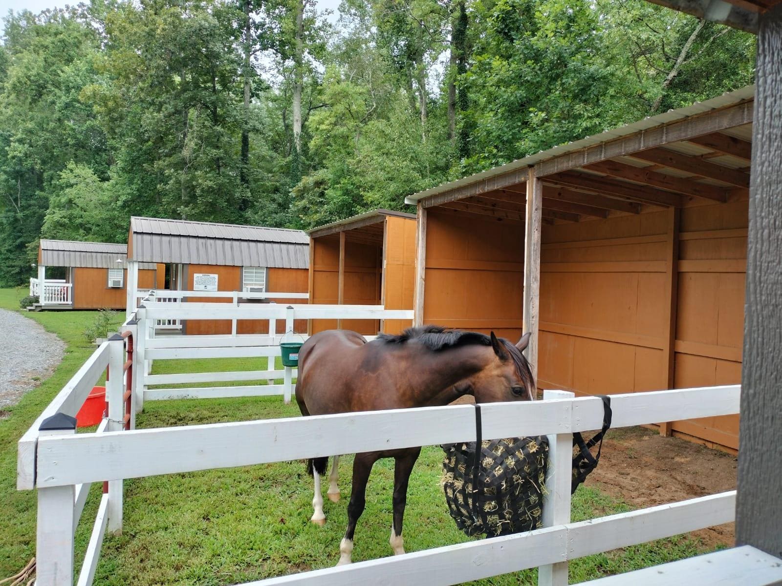 His sweet home away from home. 