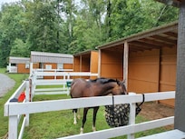 His sweet home away from home.