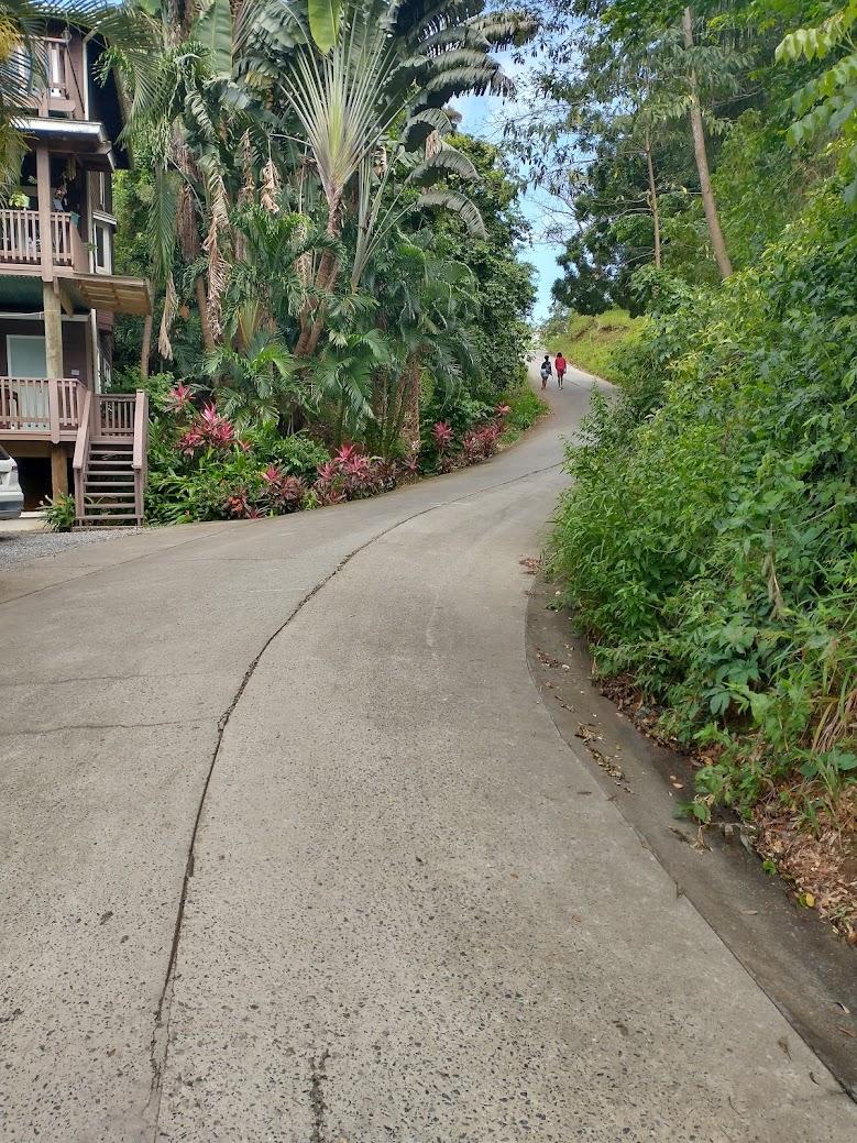 This is the hill