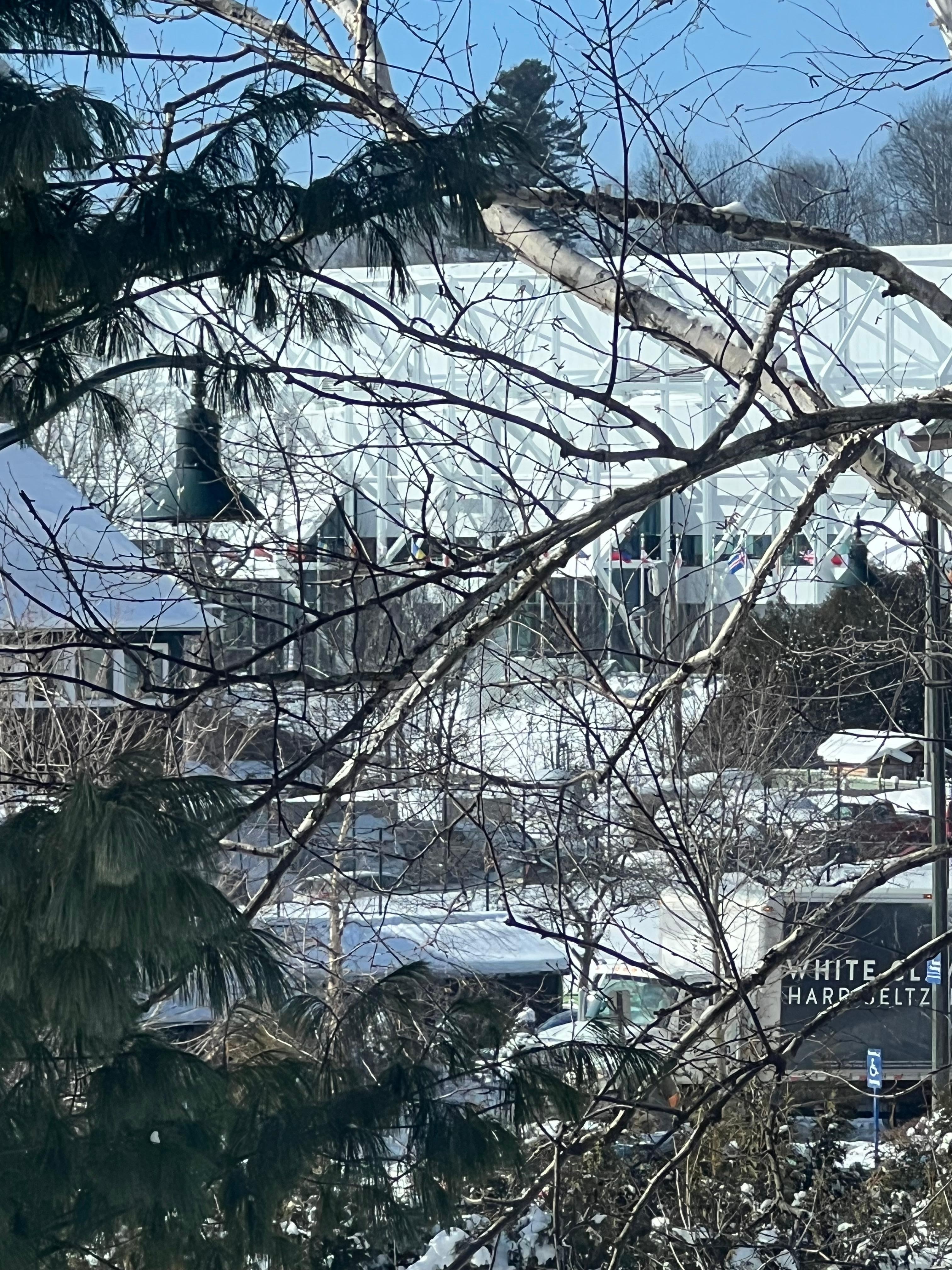 The view of the Olympic oval from the picture window