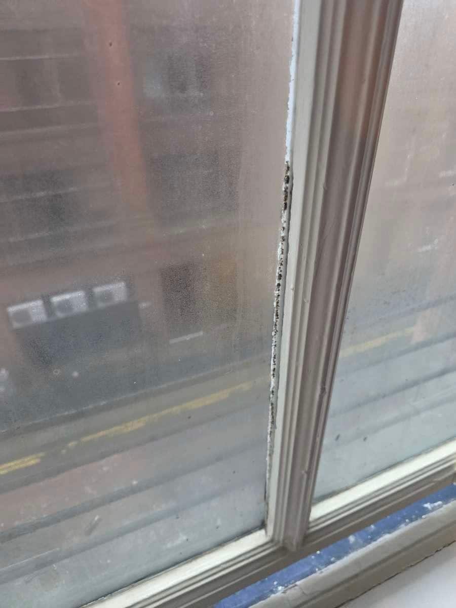 Mouldy window