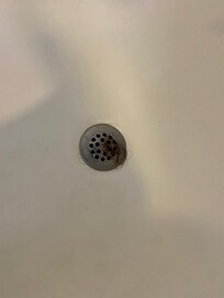 Hair in shower.