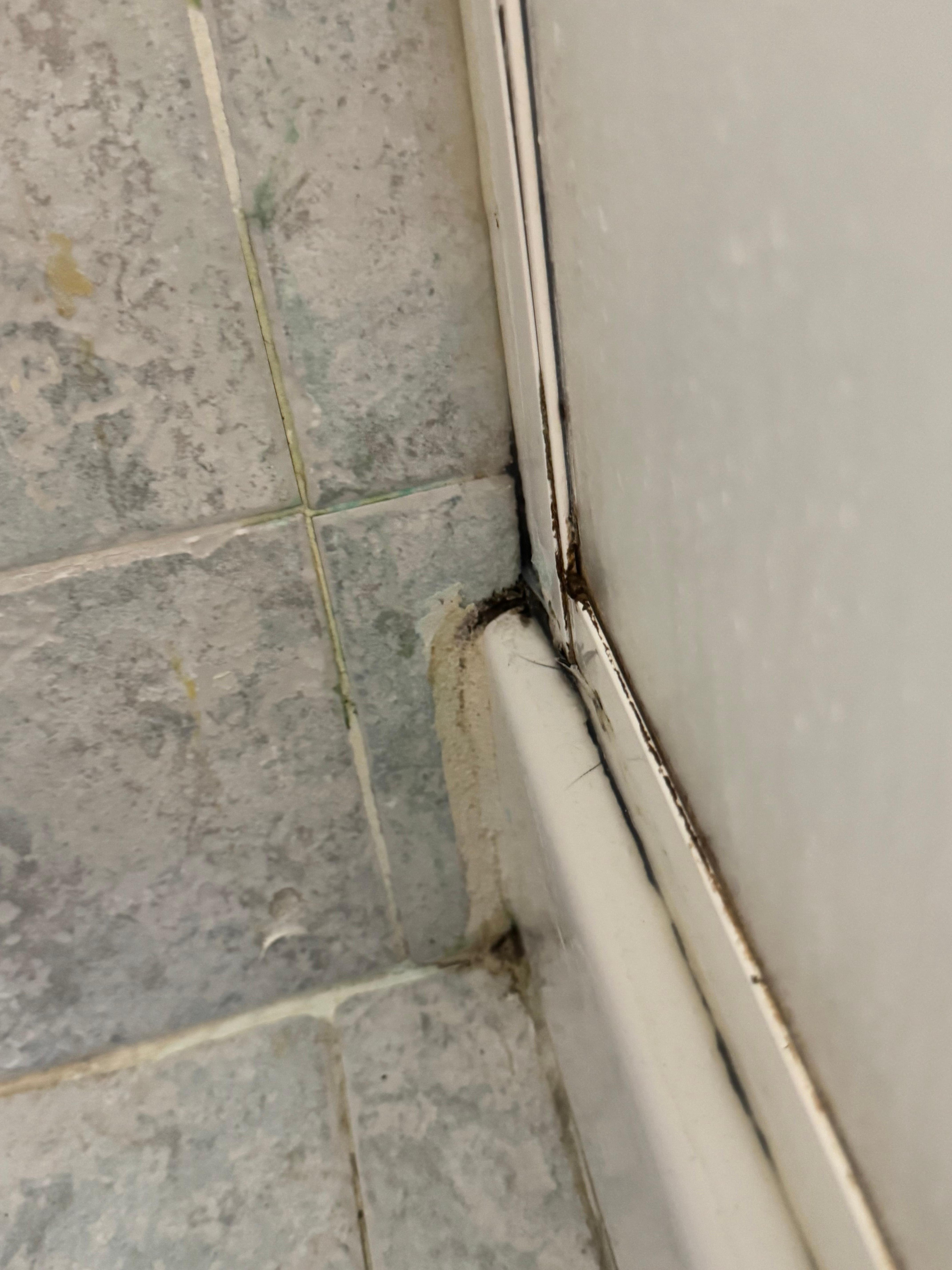 Mould in the shower 
