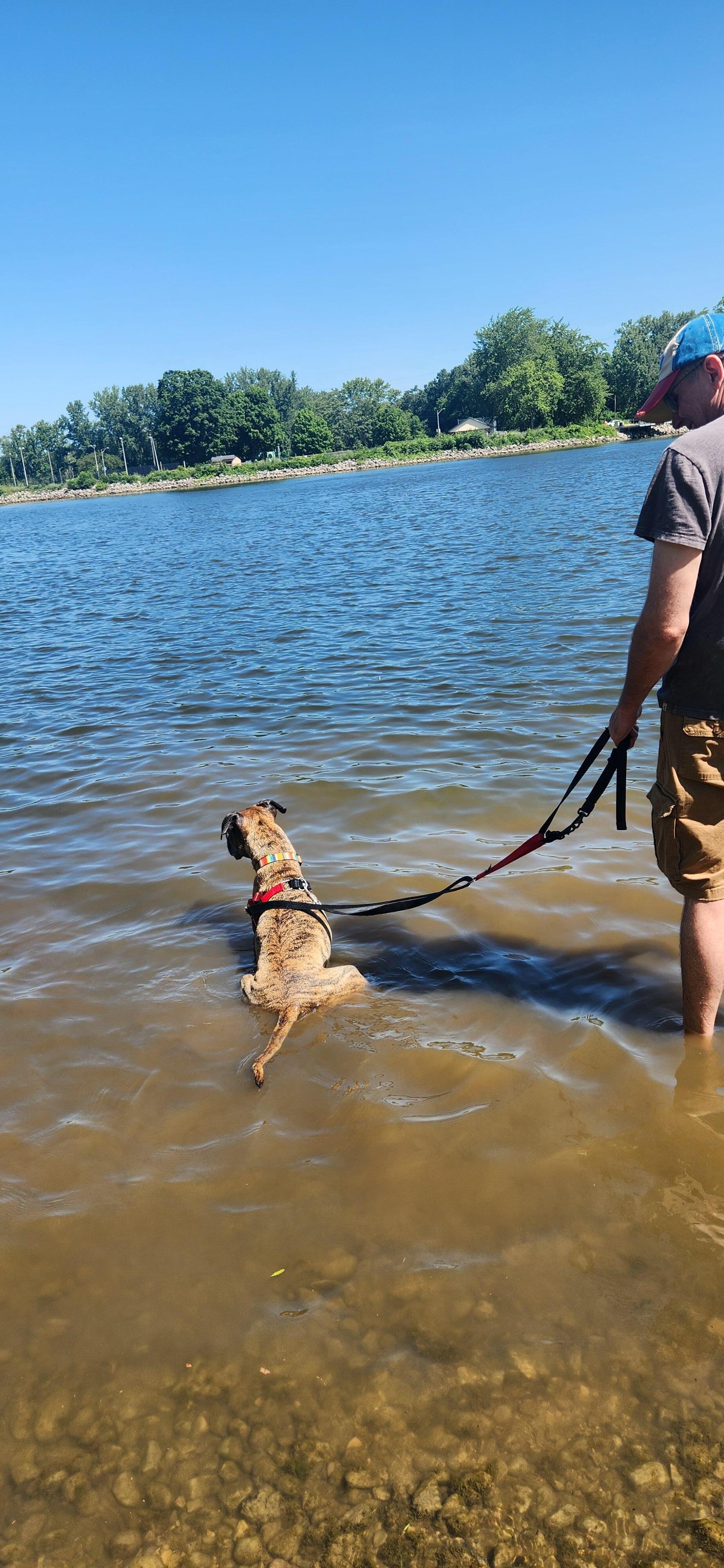 Riverview Park