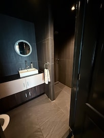 The mirror/sink area with poor lighting