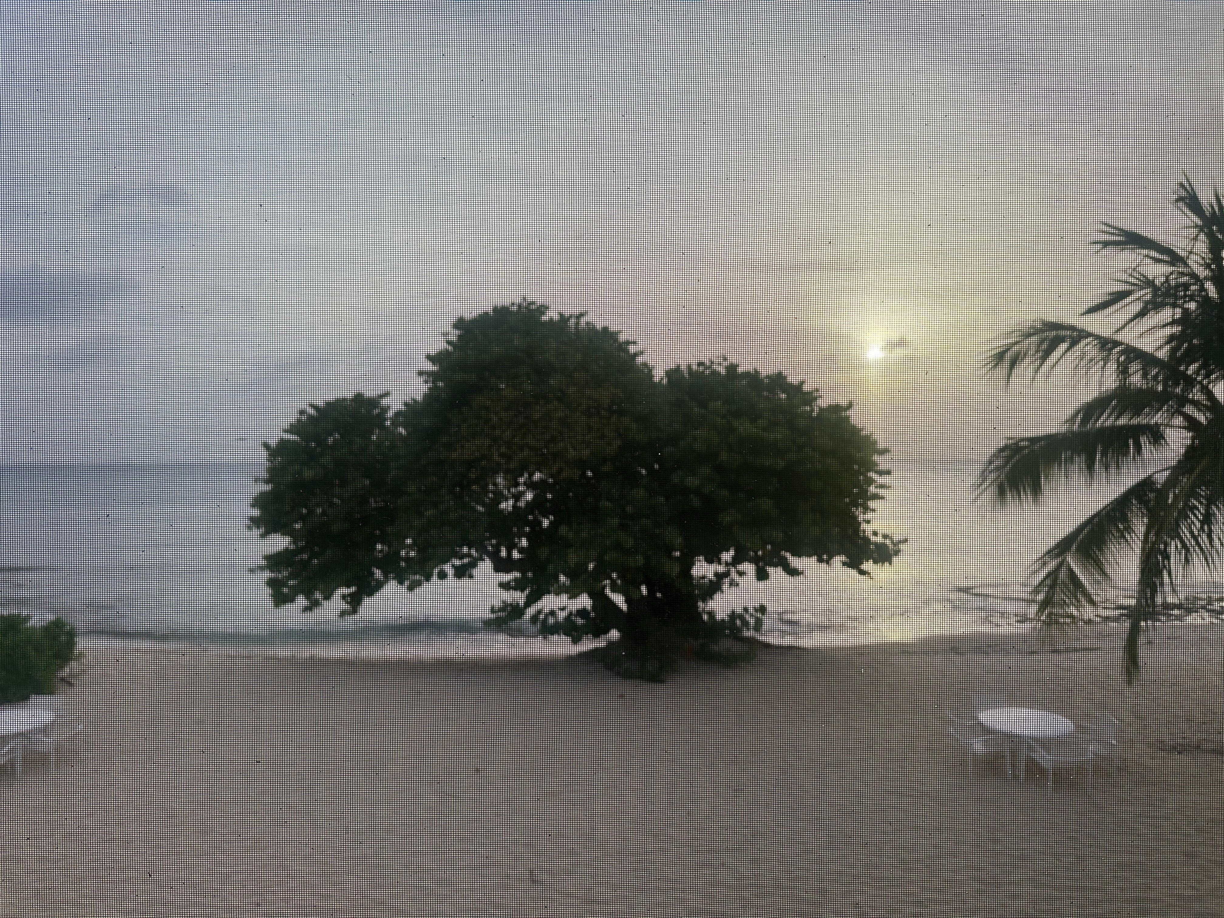 View from the screened in balcony around sunset. (Much prettier in person)