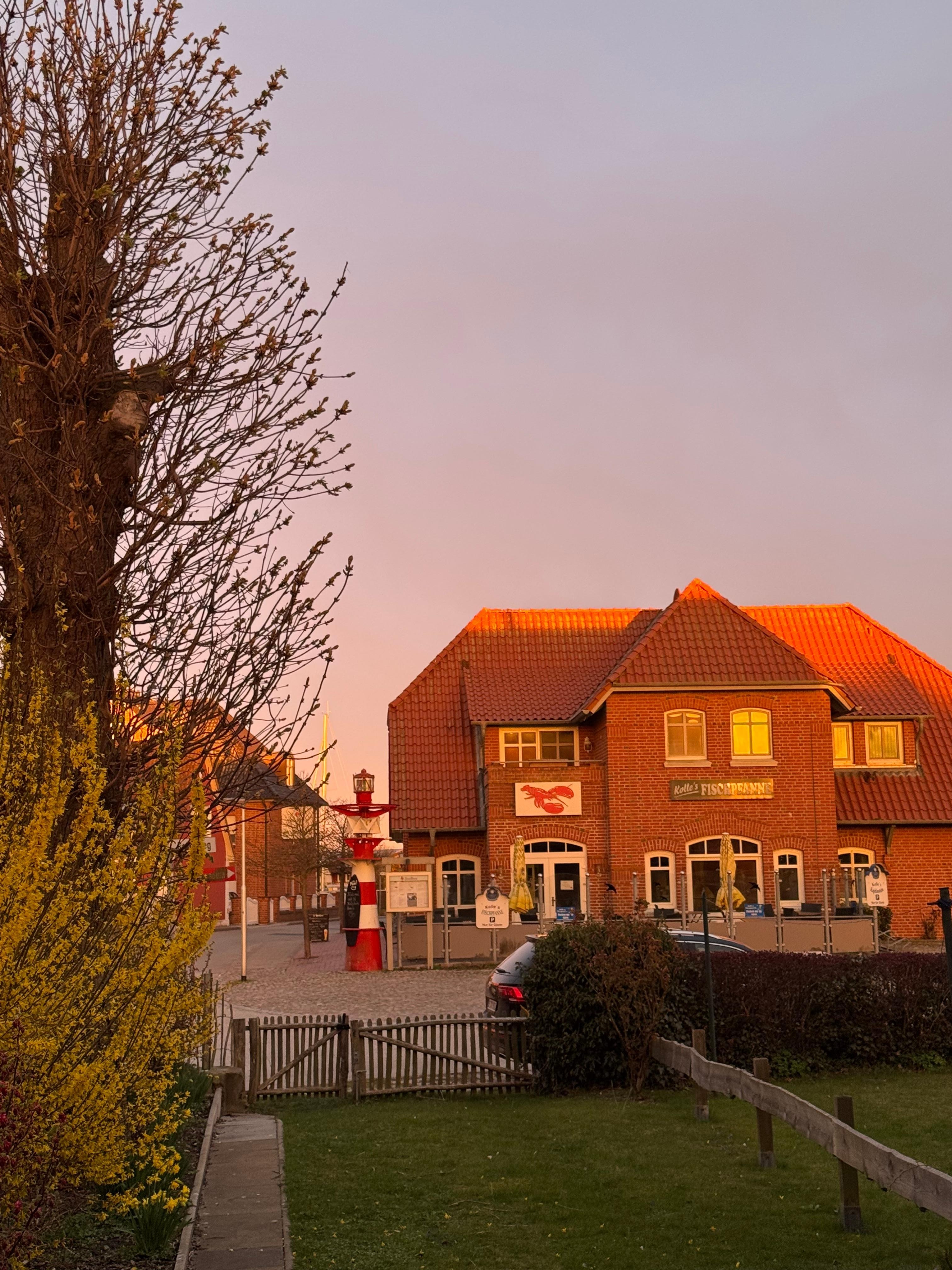 Ausblick aus der Haustüre
