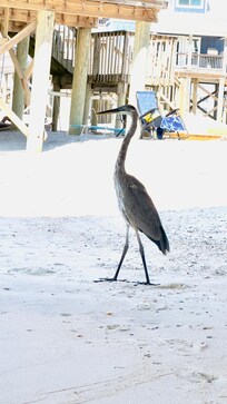 Our fishing supervisor