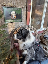 My dog smokey with the smokey the bear sign