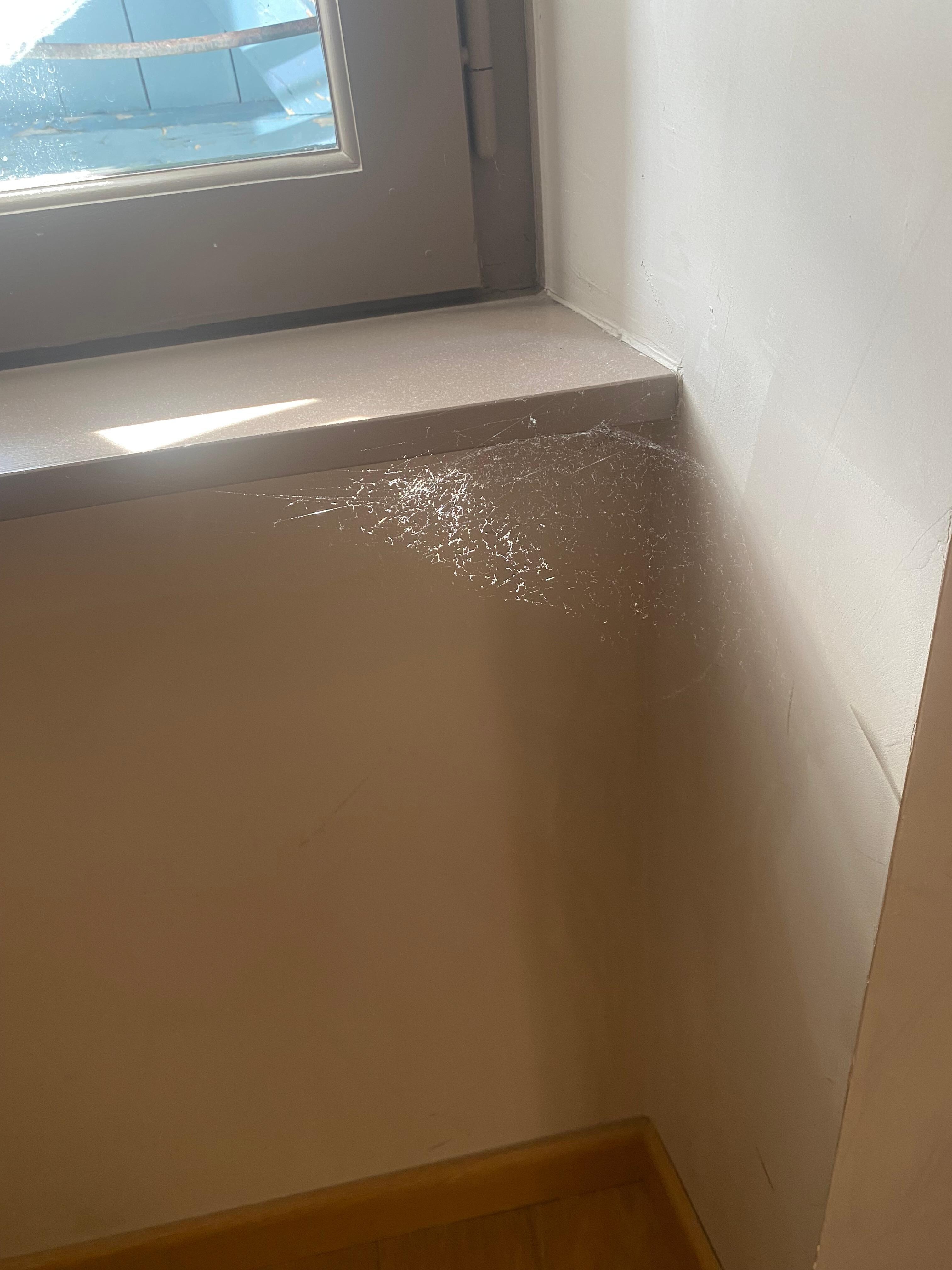 Toile d’aidants la chambre… nous avons été piqués au bras par une araignée pendant la nuit…😉