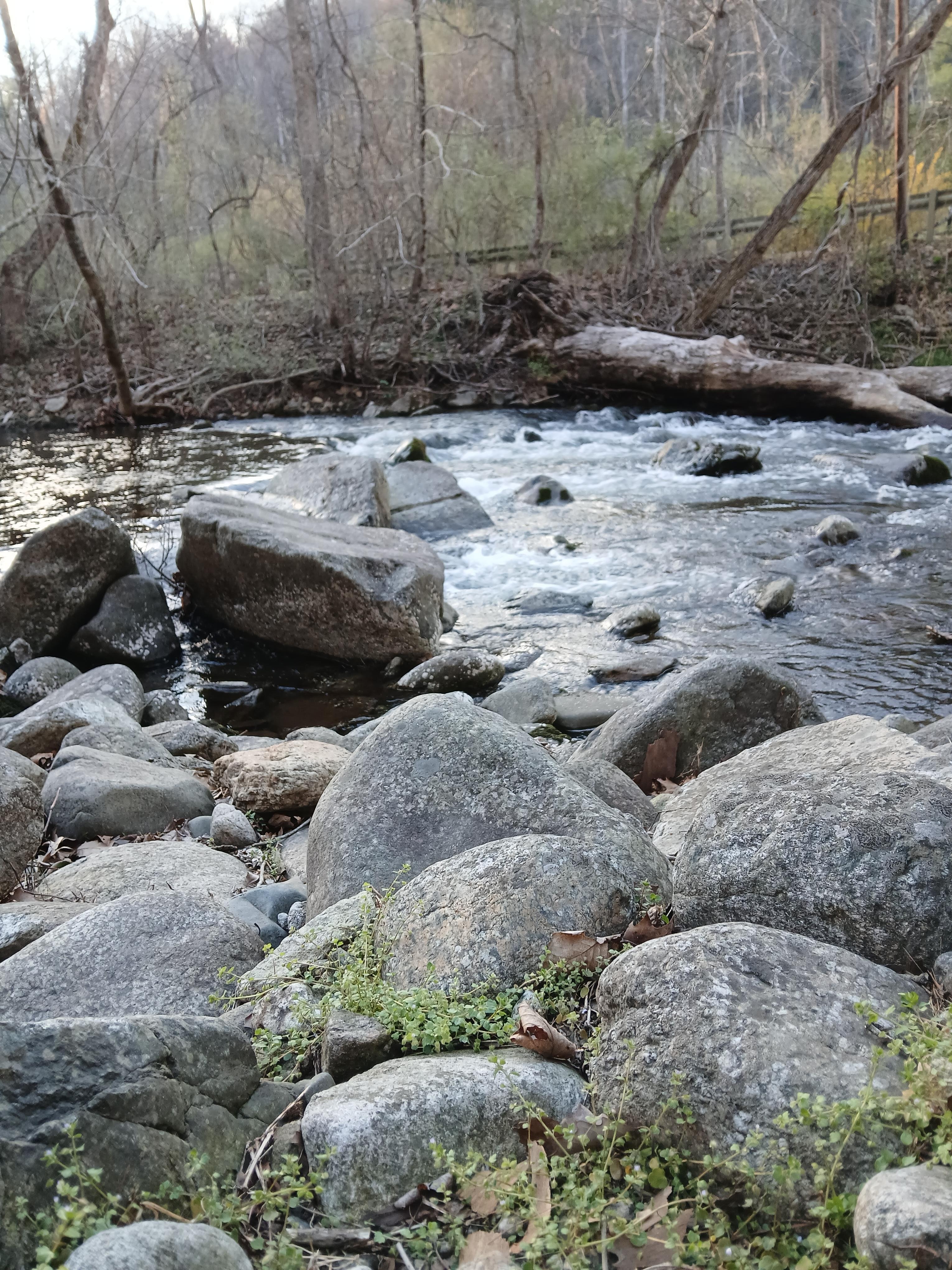 View right off the deck 