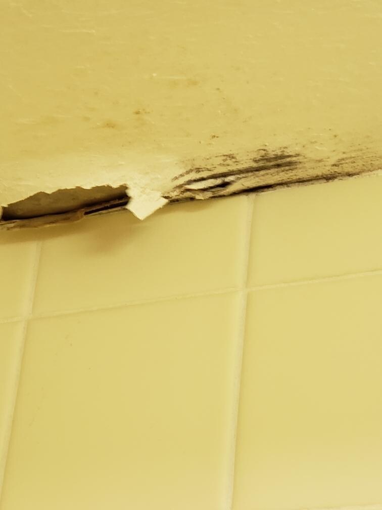 Ceiling in bathroom
