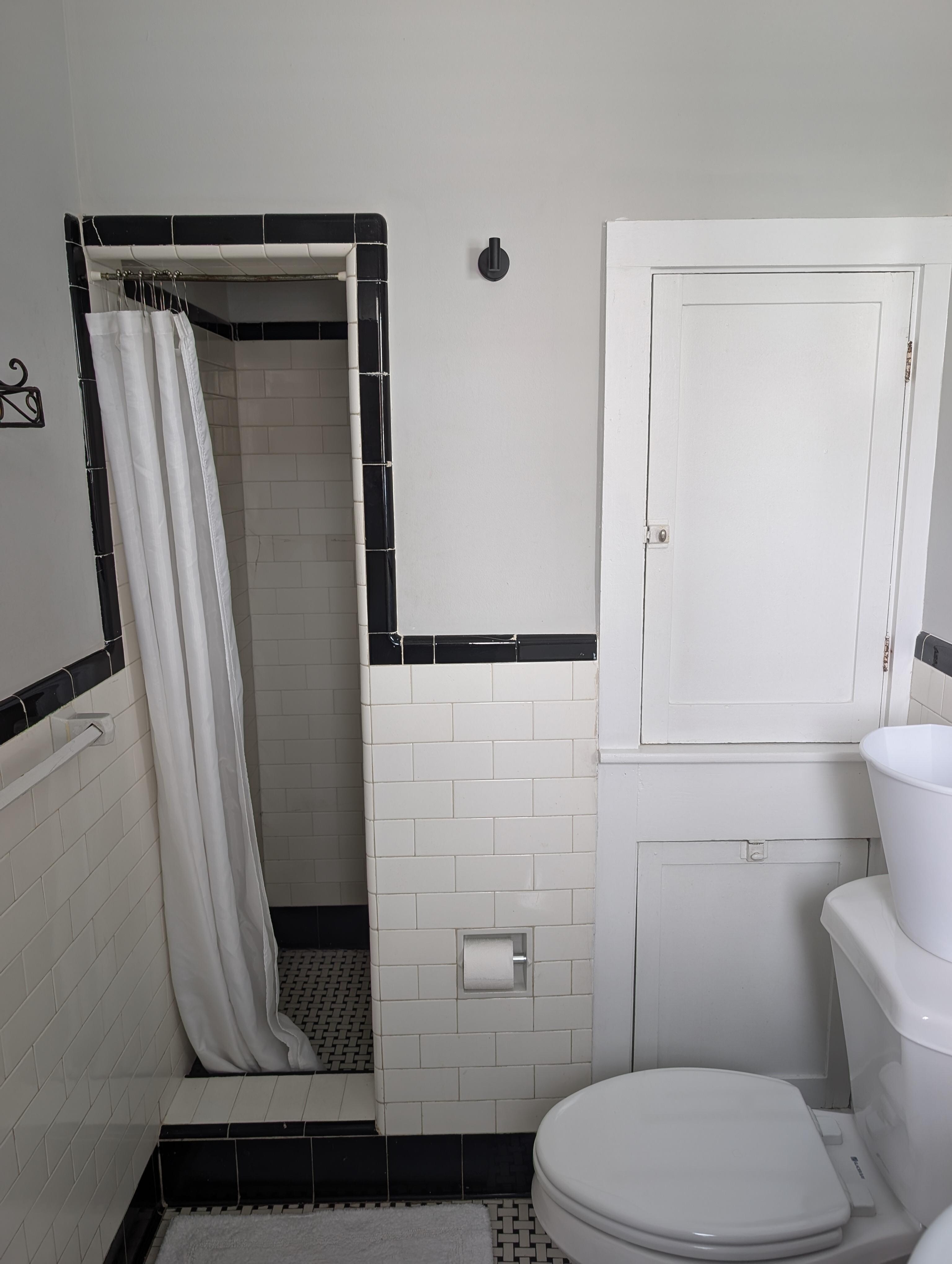 Narrow shower door