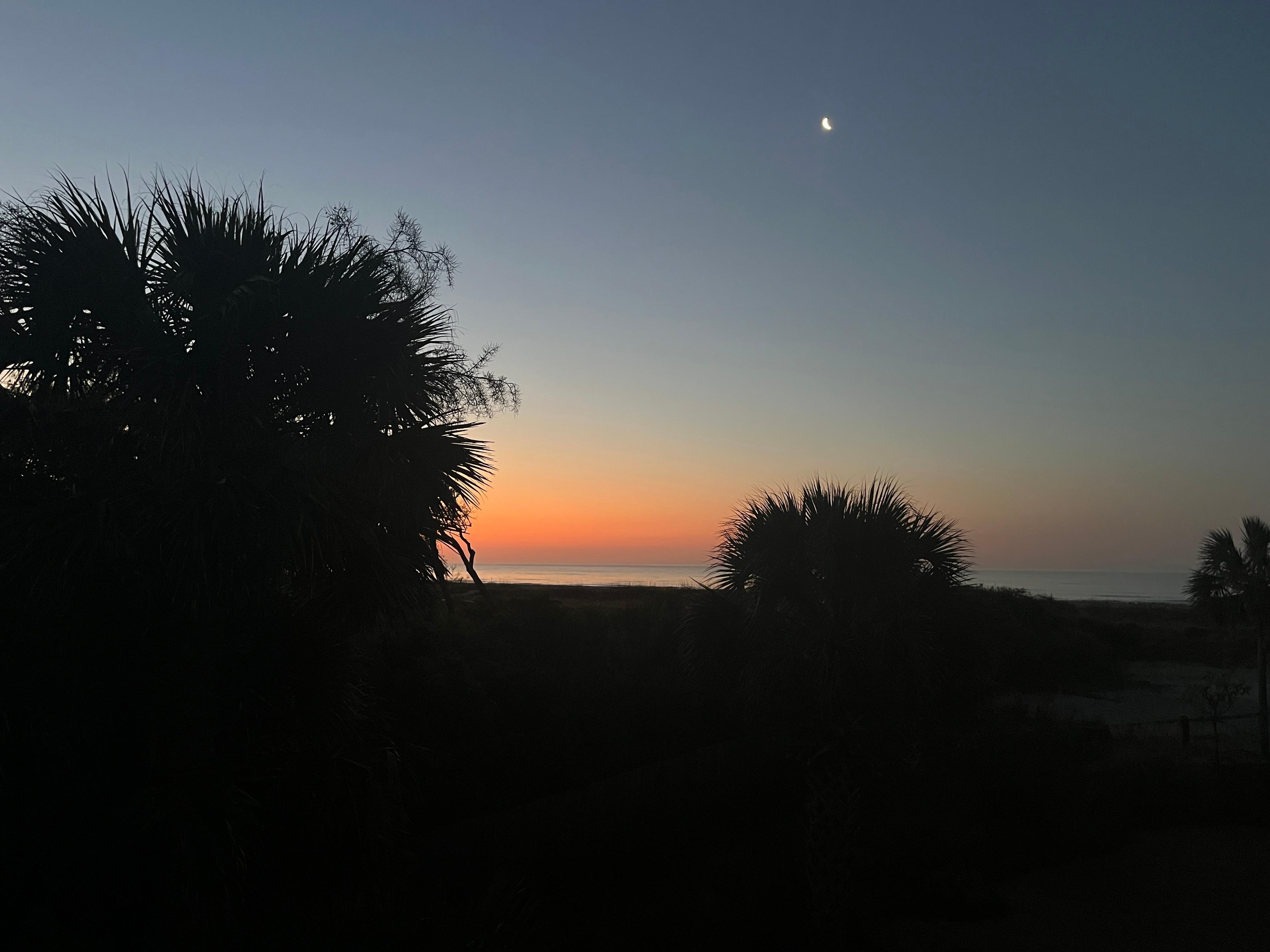 Sunrise from back porch