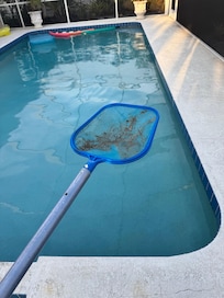 The dust that was all over the lanai and pool.