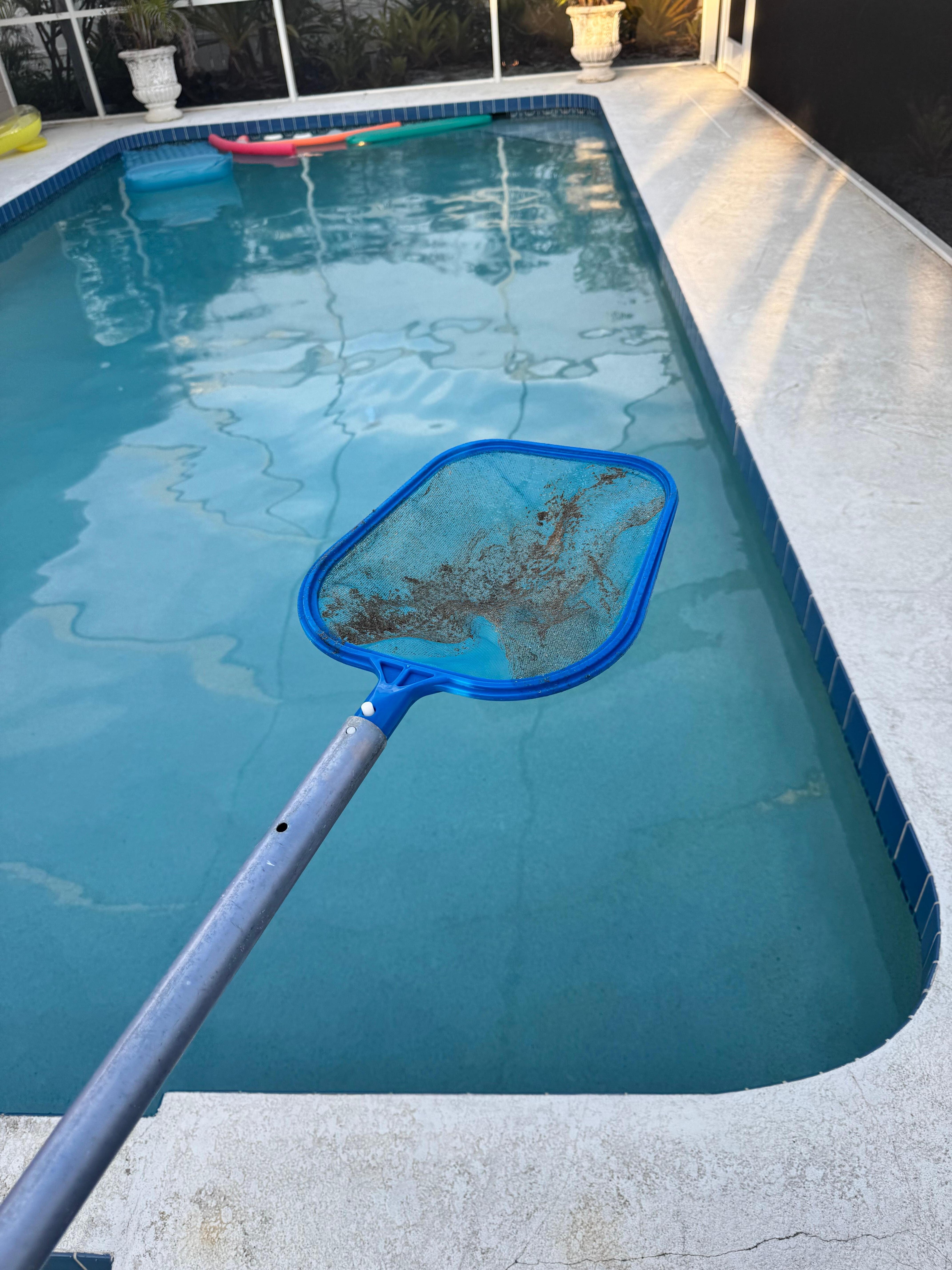The dust that was all over the lanai and pool.