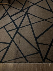 Carpet should have been clean but looked dirty.