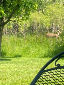 Morning coffee on the patio