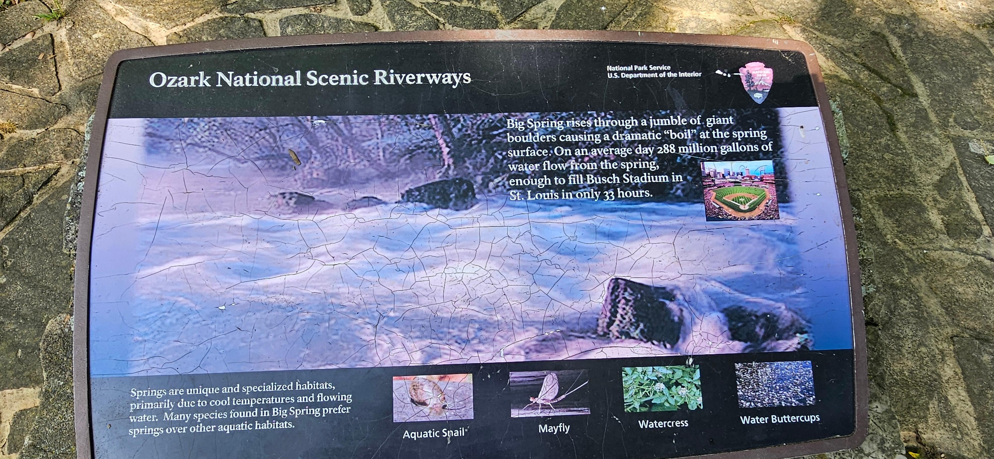Information on Big Springs