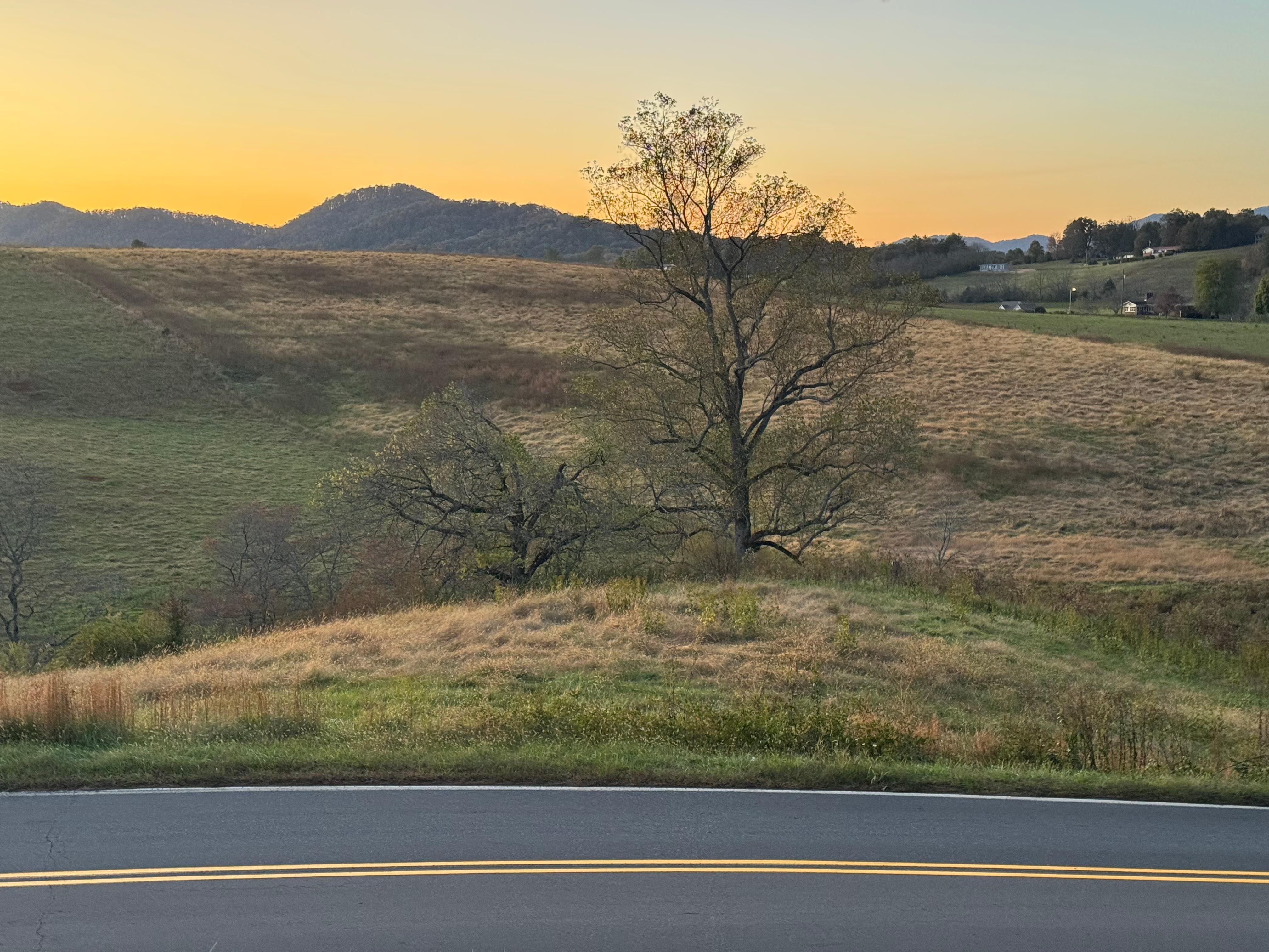 View from the front porch.