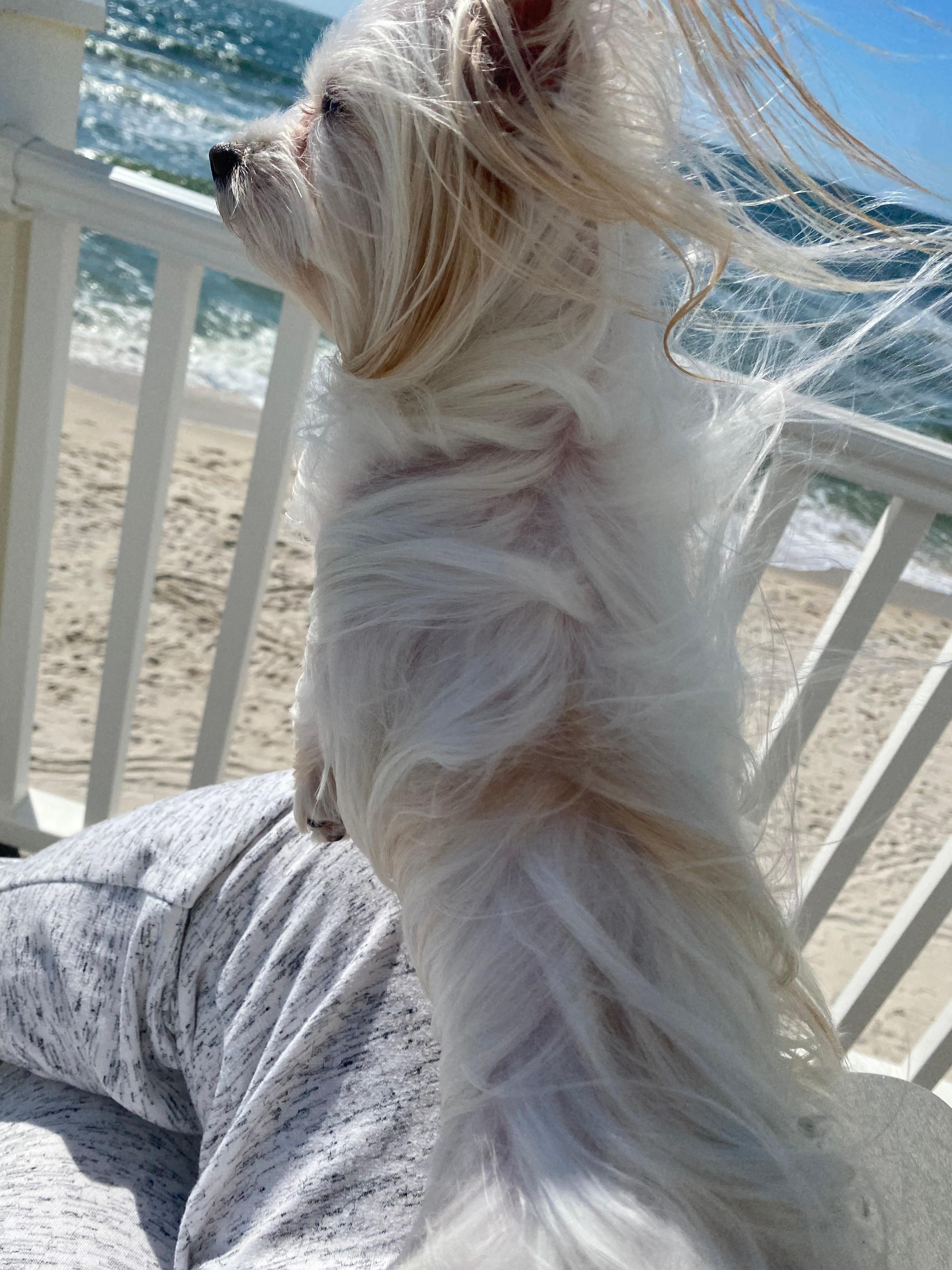 Ocean view from inside house