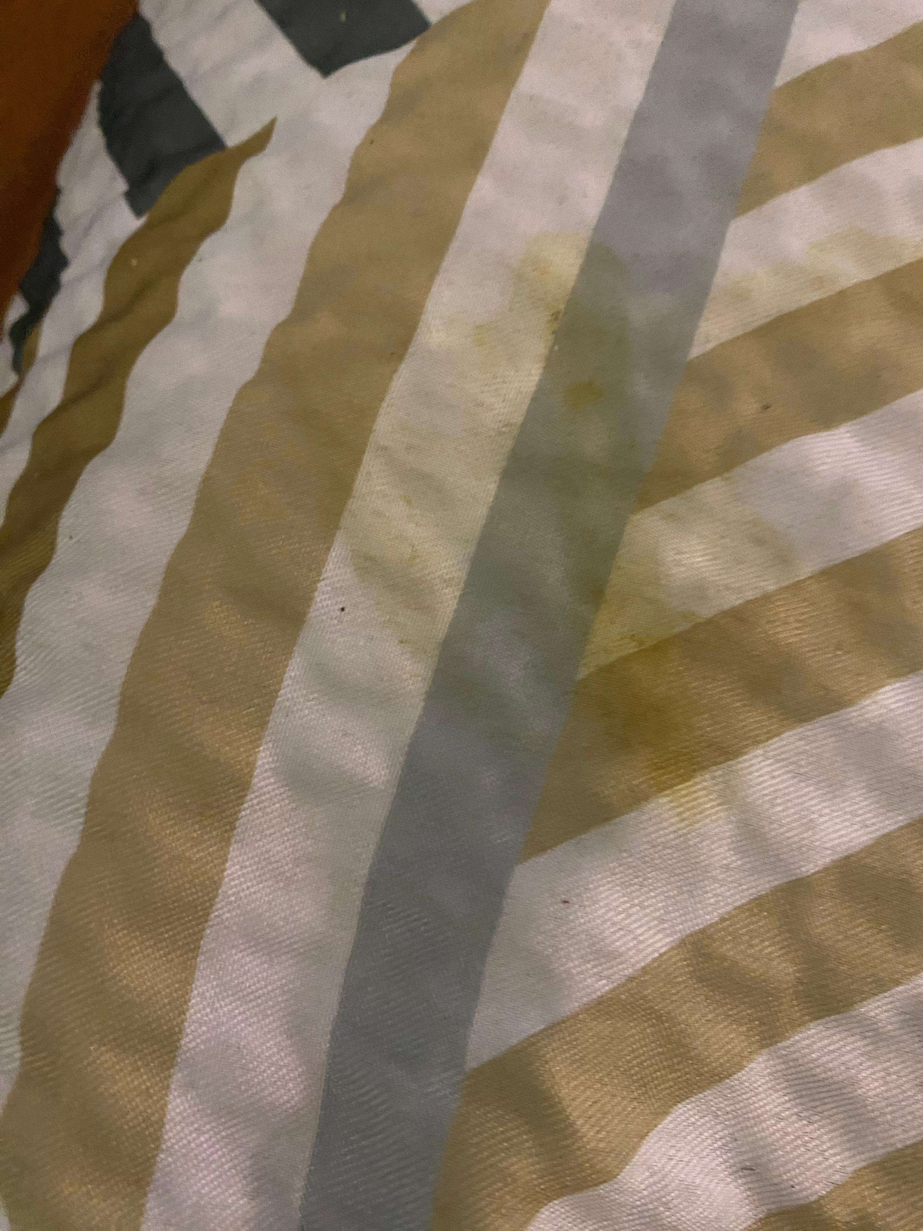 Bedspread nasty 