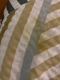 Bedspread nasty